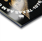 1976 Texas A&M vs. Baylor Acrylic print