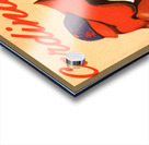 1955 St. Louis Cardinals Art Acrylic print