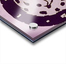 Vintage Kansas State Wildcat Acrylic print