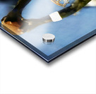 Michael Jordan Two Handed Dunk  Acrylic print