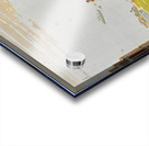 new york city art leslie ragan Acrylic print