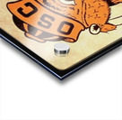 1950s oregon state college beaver viewfinder Acrylic print