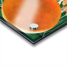 vintage sports art 1940s basketball art ball hoop Acrylic print