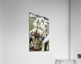  1966 georgia tech football  Acrylic Print
