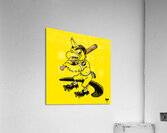 Dick Spencer Iowa Herky Hawk Baseball Cartoon Art Acrylic Print