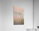 Reeds at the lake 1910  Acrylic Print