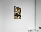 1984 Michael Jordan Drive Acrylic Print
