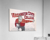 vintage washington state college football art Acrylic Print