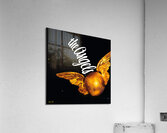 1967 California Angels Vintage Art Acrylic Print