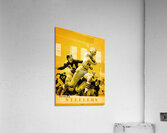 1953 Pittsburgh Steelers Football Art Remix Acrylic Print