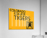 1950s Colorado College Tigers Acrylic Print