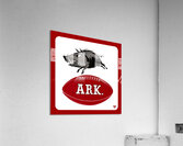 1957 Arkansas Razorbacks Art Acrylic Print