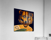 Vintage Cal Bears Football Art Acrylic Print