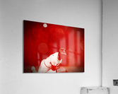 Gibson Delivery Acrylic Print