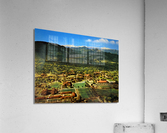 Vintage University of Colorado Campus Art Acrylic Print