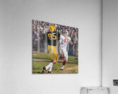 1961 Iowa Hawkeyes Touchdown Catch Art Acrylic Print