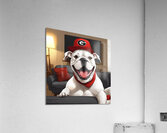 Ready for Gameday Acrylic Print
