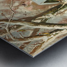 Deer in the Snow 1906 Metal print