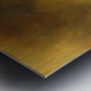 Sphinx Egyptian Art by Karl Wilhelm Diefenbach Metal print