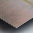 Reeds at the lake 1910  Metal print