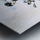 1920 lacrosse art Metal print