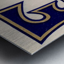 Vintage East Tennessee Bucs Art Metal print