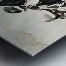 Race to Win: 1974 Horse Racing Art Metal print