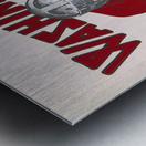 vintage washington state college football art Metal print