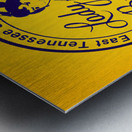 1980s ETSU Lady Bucs Art Metal print