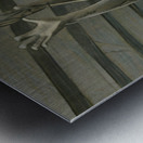 1960s Duke Basketball Art  Metal print