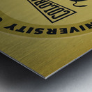 1963 Colorado Buffalo Club Art  Metal print