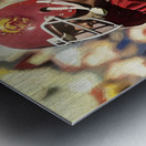 1978 USC Trojan Star Ronnie Lott Metal print