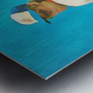 Vintage Atlanta Braves Baseball Wall Art_Atlanta Home Decor Ideas for Sports Fans Metal print