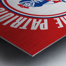 Vintage New England Patriots Helmet Art Metal print