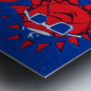 1983 Jacksonville Suns Baseball Art Metal print