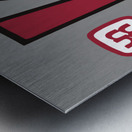 1968 New Mexico Lobos Basketball Art Metal print