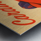 1955 St. Louis Cardinals Art Metal print