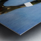 Michael Jordan Two Handed Dunk  Metal print