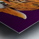 Vintage Northwestern Wildcat Art Metal print