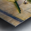 1920s kitchen art Metal print