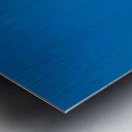 adolph treidler bermuda art Metal print