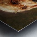 study of a dog rosa bonheur 1860s Metal print