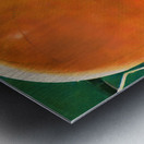 vintage sports art 1940s basketball art ball hoop Metal print