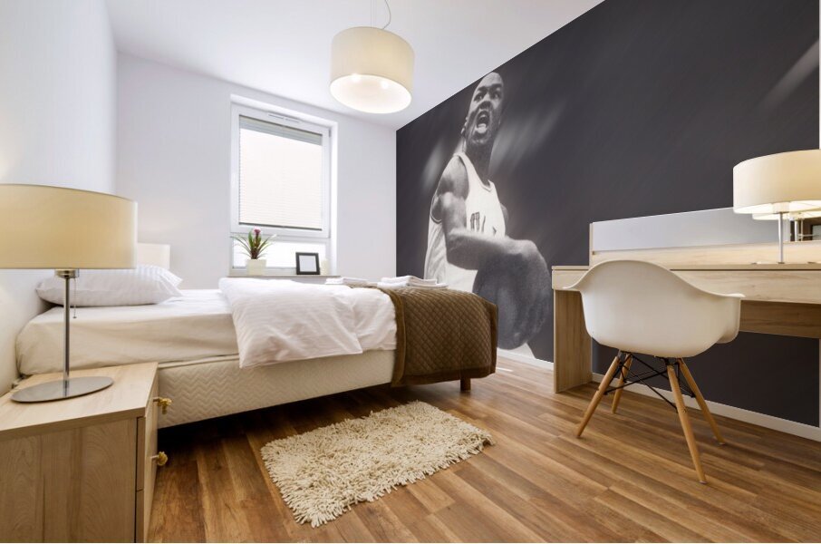 Michael Jordan Cradle Dunk  Mural print