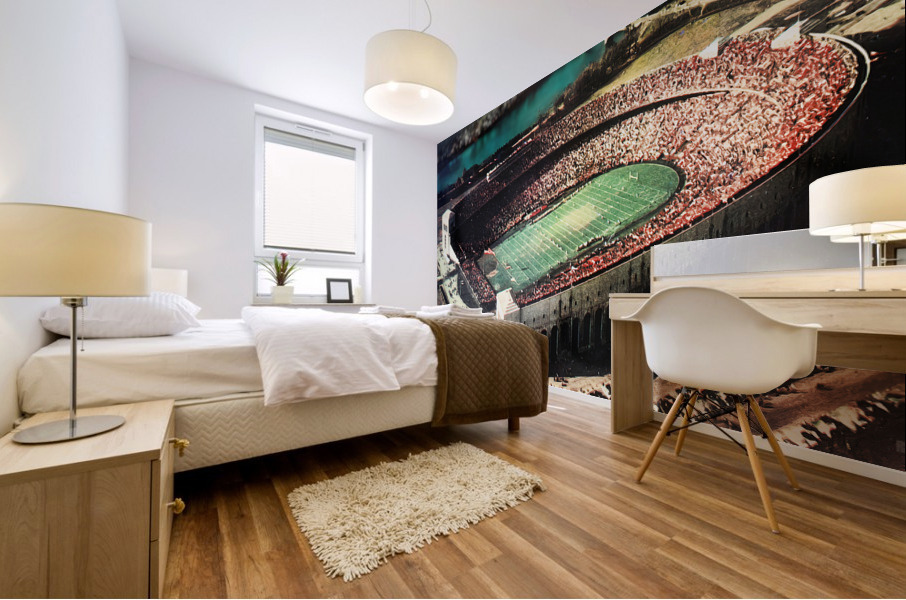 Vintage Ohio Stadium Gameday Art Mural print