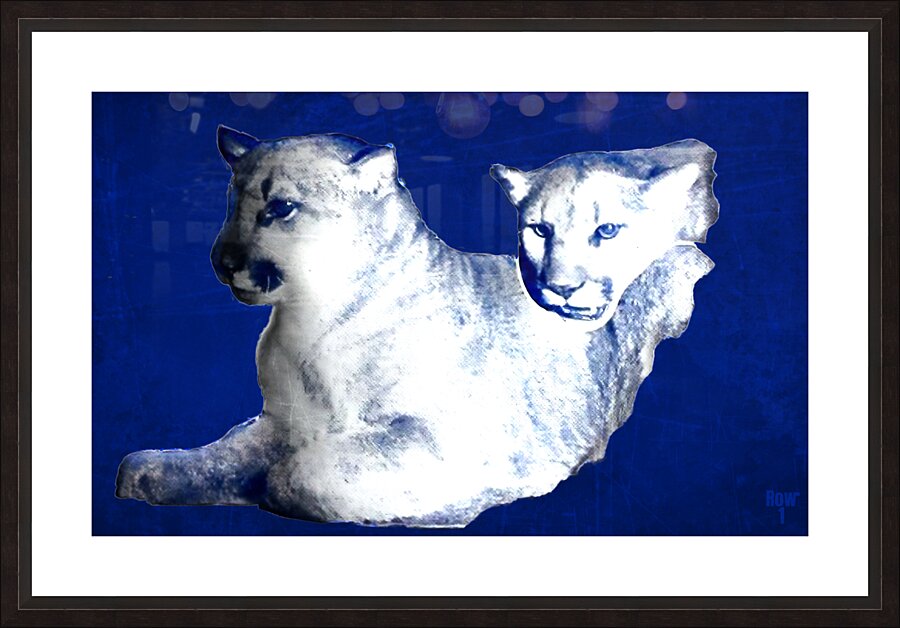 Early 1900s BYU Cougars Art Picture Frame print