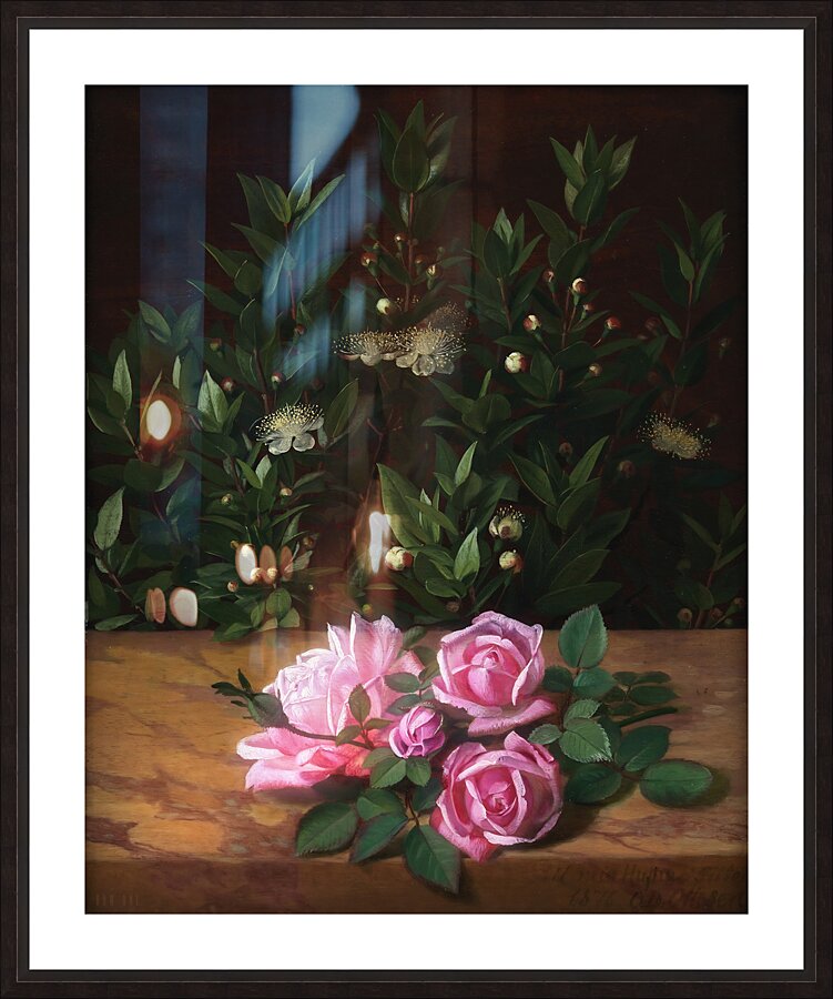 1876 Roses And Myrtles  Picture Frame print