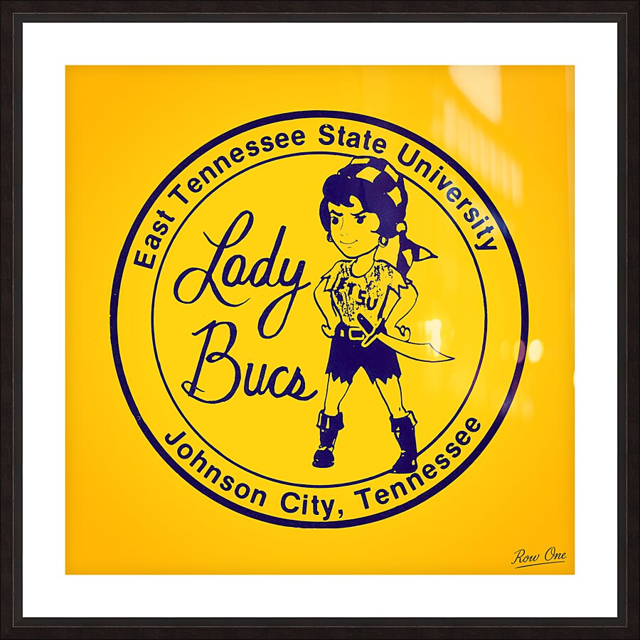 1980s ETSU Lady Bucs Art Picture Frame print