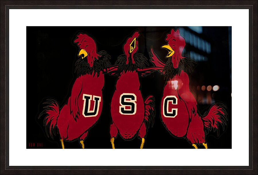 Vintage USC Gamecocks Cartoon Art Picture Frame print