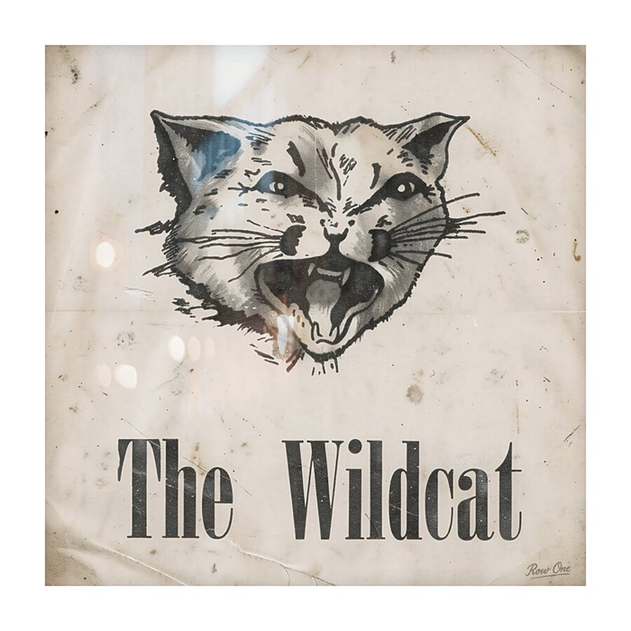 The Wildcat Picture Frame print